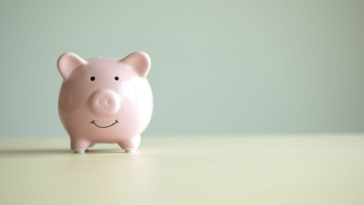 Roze spaarpot als symbool voor een tak 23-levensverzekering als spaar- en beleggingsproduct