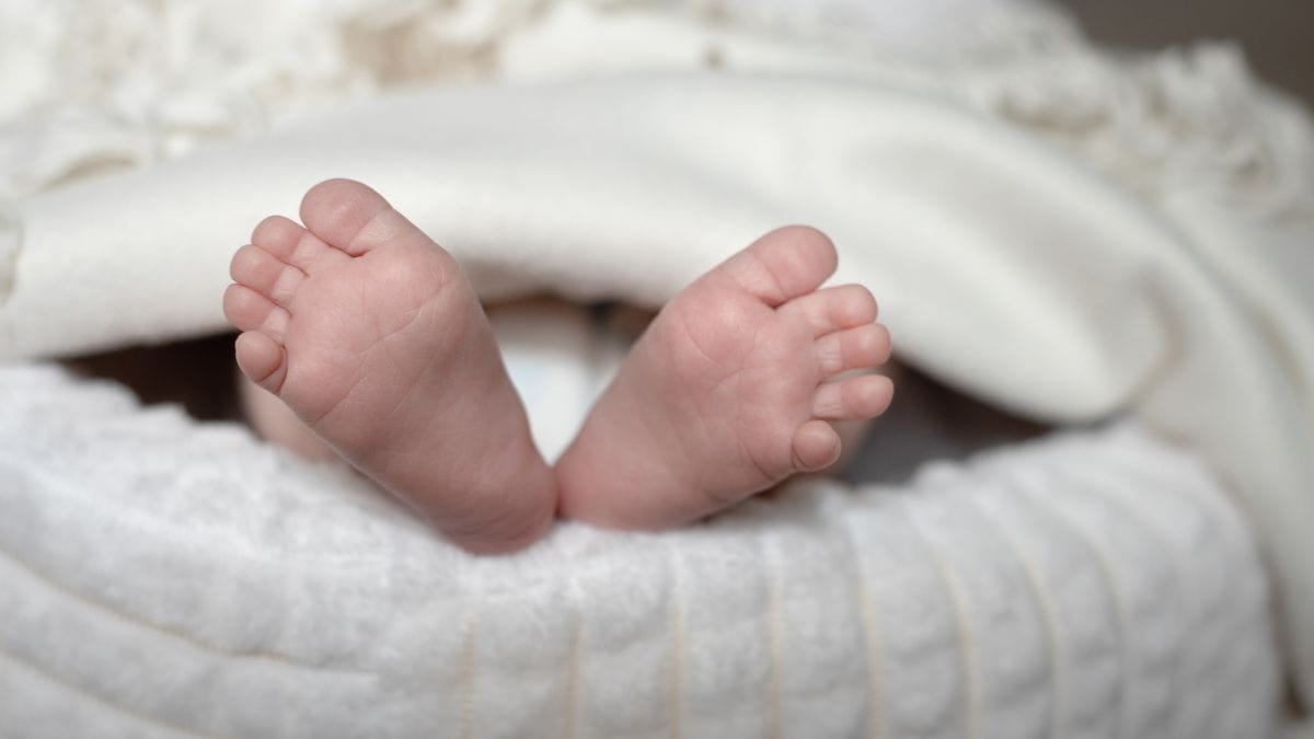 Voetjes van een pasgeboren baby tijdens de periode van moederschapsverlof